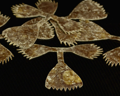 Kiley's Fish Finz - Spawn Fly Fish - Hareline Dubbin