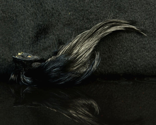 Nature's Spirit Golden Pheasant Crest - Spawn Fly Fish - Nature's Spirit