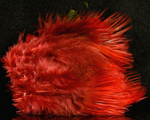 Golden Pheasant Body Feathers - Spawn Fly Fish - Hareline Dubbin