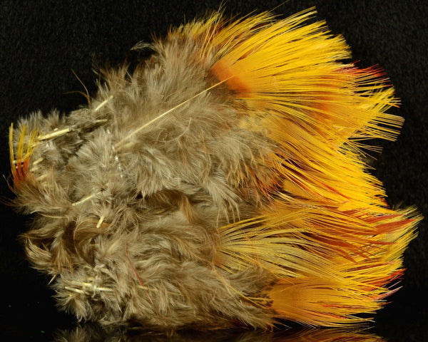 Golden Pheasant Body Feathers - Spawn Fly Fish - Feathers - Hareline Dubbin