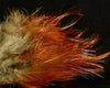 Golden Pheasant Body Feathers - Spawn Fly Fish - Hareline Dubbin