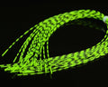 Hareline Grizzly Barred Rubber Legs - Spawn Fly Fish - Hareline Dubbin
