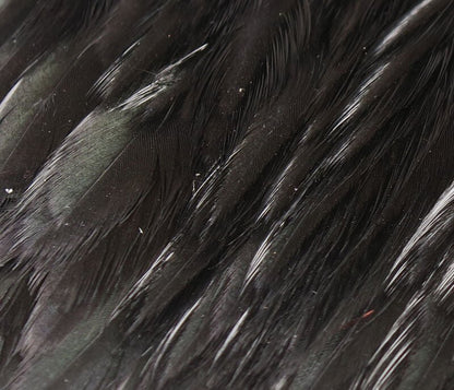 Hareline Hen Cape - Spawn Fly Fish - Hareline Dubbin