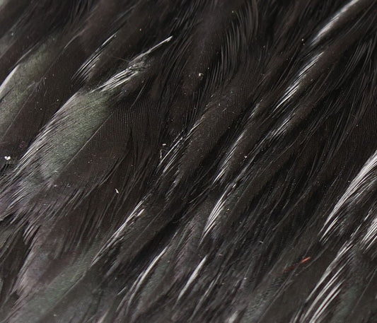 Hareline Hen Cape - Spawn Fly Fish - Hareline Dubbin