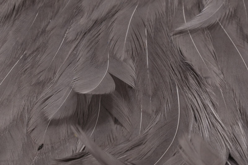 Hareline Hen Cape - Spawn Fly Fish - Hareline Dubbin