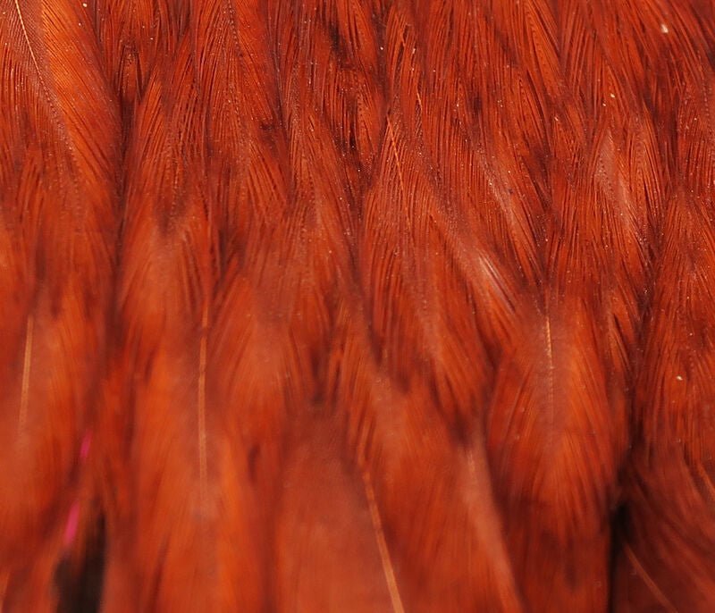 Hareline Hen Cape - Spawn Fly Fish - Hareline Dubbin