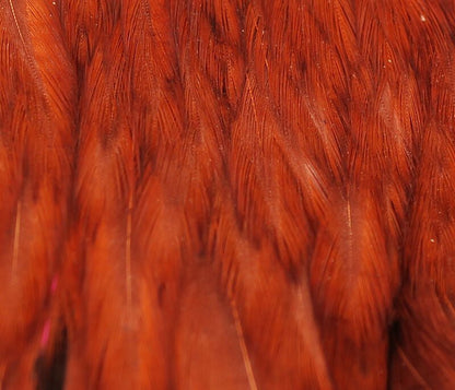 Hareline Hen Cape - Spawn Fly Fish - Hareline Dubbin