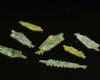 Fly Skinz Kiley's Damzel Tails - Spawn Fly Fish - Fly Skinz