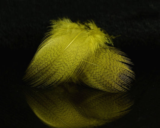 Hareline Mallard Flank - Spawn Fly Fish - Hareline Dubbin