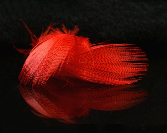 Hareline Mallard Flank - Spawn Fly Fish - Hareline Dubbin