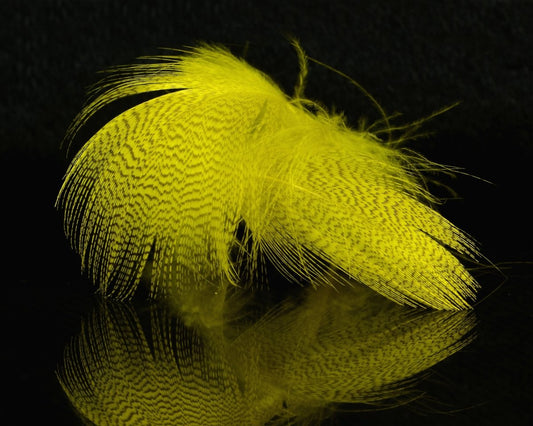 Hareline Mallard Flank - Spawn Fly Fish - Hareline Dubbin