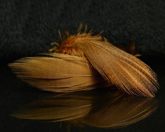 Hareline Mallard Flank - Spawn Fly Fish - Hareline Dubbin