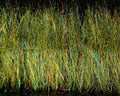 Enrico Puglisi EP Minnow Head Brush - Spawn Fly Fish - Enrico Puglisi