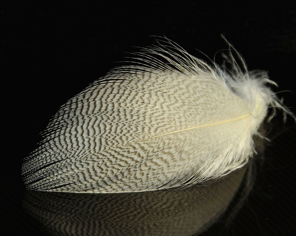 Nature's Spirit Mallard Spey - Spawn Fly Fish - Nature's Spirit