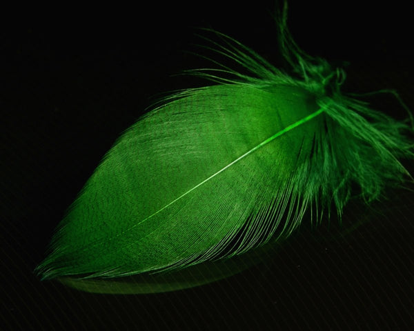 Nature's Spirit Mallard Spey - Spawn Fly Fish - Nature's Spirit