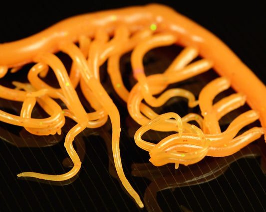 Hareline Mini Squiggle Worms - Spawn Fly Fish - Hareline Dubbin