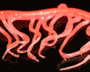 Hareline Mini Squiggle Worms - Spawn Fly Fish - Hareline Dubbin