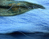 Hareline Northern Bucktail - Spawn Fly Fish - Hareline Dubbin