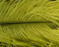 Hareline Ostrich Herl - Spawn Fly Fish - Hareline Dubbin