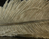 Spirit River UV2 Ostrich Plume - Spawn Fly Fish - Spirit River