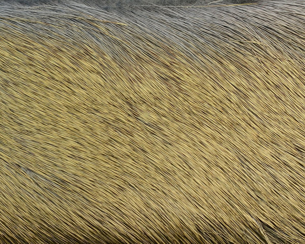 Hareline Premo Deer Hair Strip - Spawn Fly Fish - Hareline Dubbin