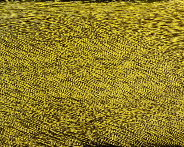 Hareline Premo Deer Hair Strip - Spawn Fly Fish - Hareline Dubbin