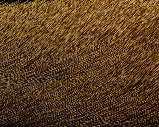 Hareline Premo Deer Hair Strip - Spawn Fly Fish - Hareline Dubbin