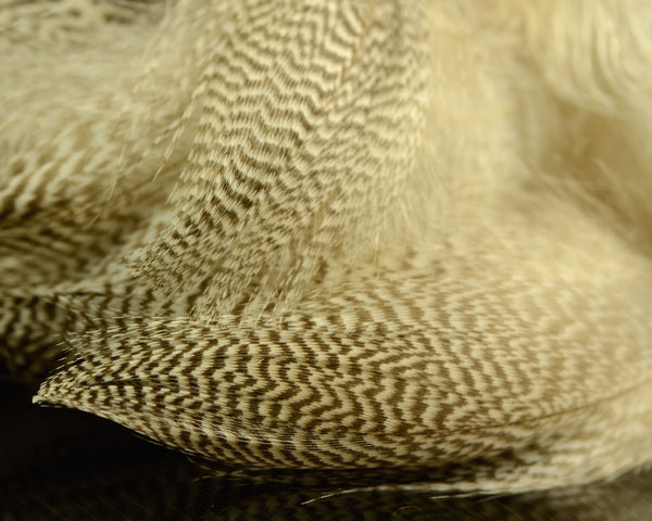 Hareline Pintail Flank Feathers - Spawn Fly Fish - Hareline Dubbin