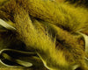 Hareline Complete Micro Stripped Pine Squirrel Hide - Spawn Fly Fish - Hareline Dubbin