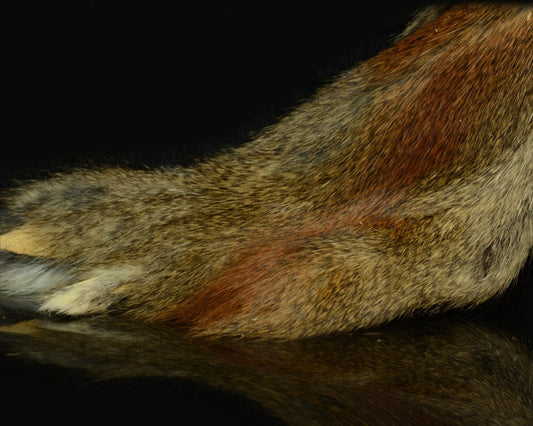 Hareline Pine Squirrel Skins - Spawn Fly Fish - Hareline Dubbin