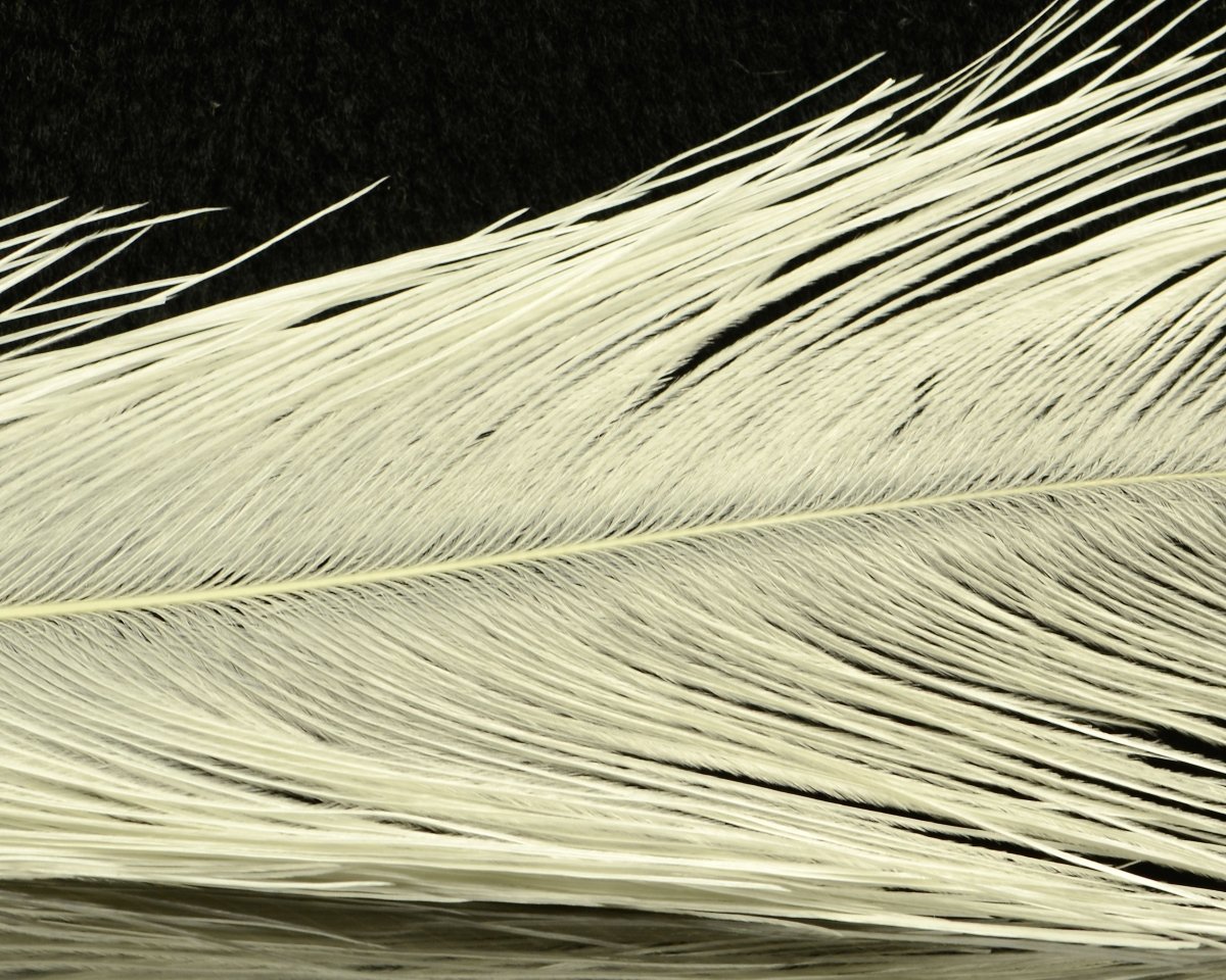 Spirit River UV2 Raptor Hackle - Spawn Fly Fish - Spirit River