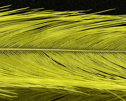 Spirit River UV2 Raptor Hackle - Spawn Fly Fish - Spirit River