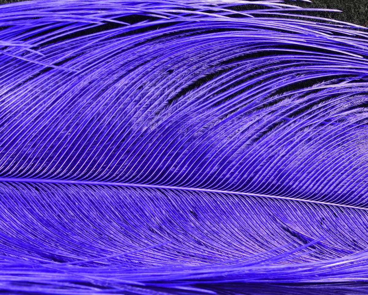 Spirit River UV2 Raptor Hackle - Spawn Fly Fish - Spirit River