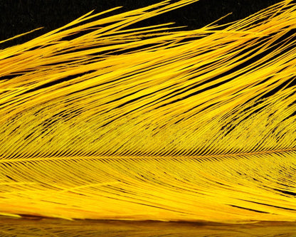 Spirit River UV2 Raptor Hackle - Spawn Fly Fish - Spirit River