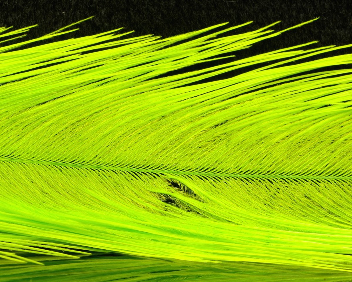 Spirit River UV2 Raptor Hackle - Spawn Fly Fish - Spirit River