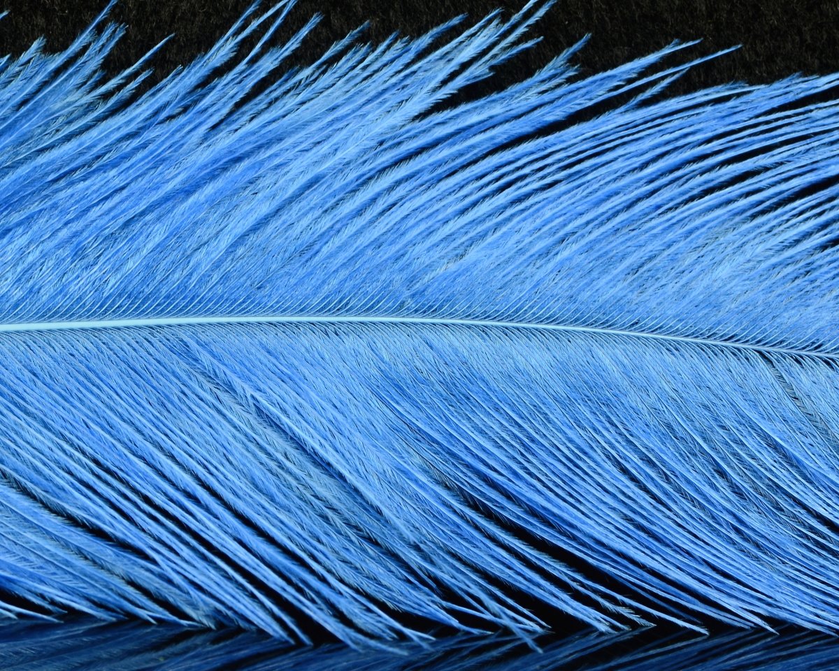 Spirit River UV2 Raptor Hackle - Spawn Fly Fish - Spirit River