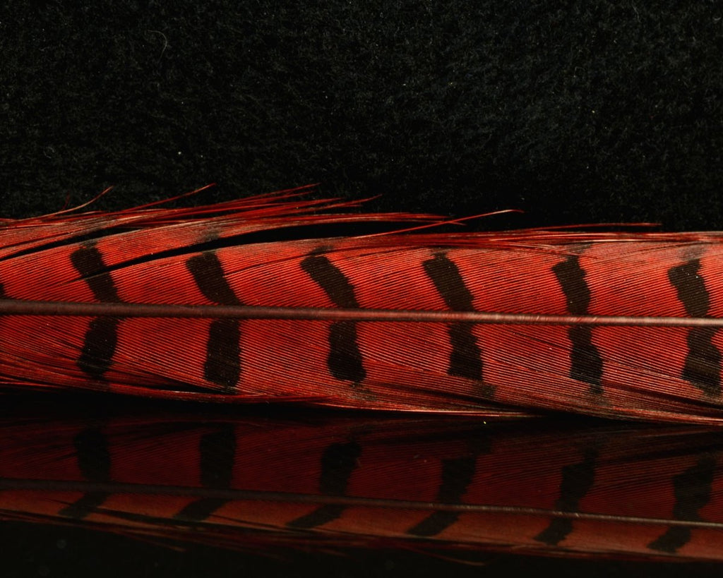 Nature's Spirit Ringneck Pheasant Center Tails - Spawn Fly Fish - Nature's Spirit