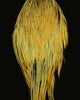 Root River Cape - Spawn Fly Fish - Root River Hackle