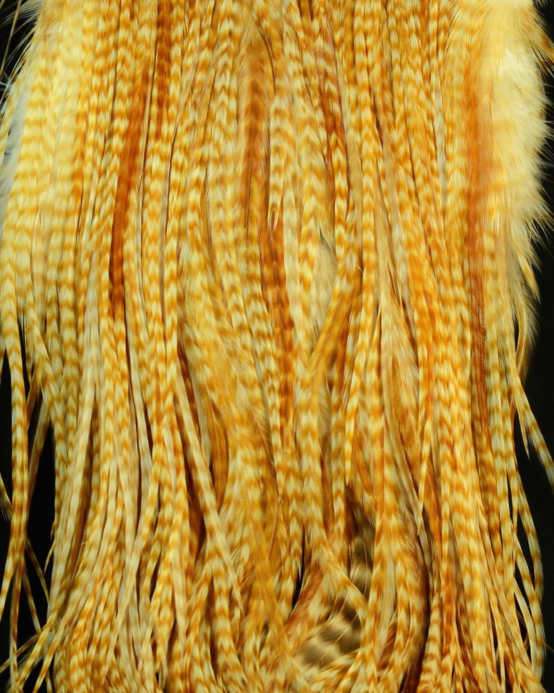 Root River Saddle - Spawn Fly Fish - Root River Hackle
