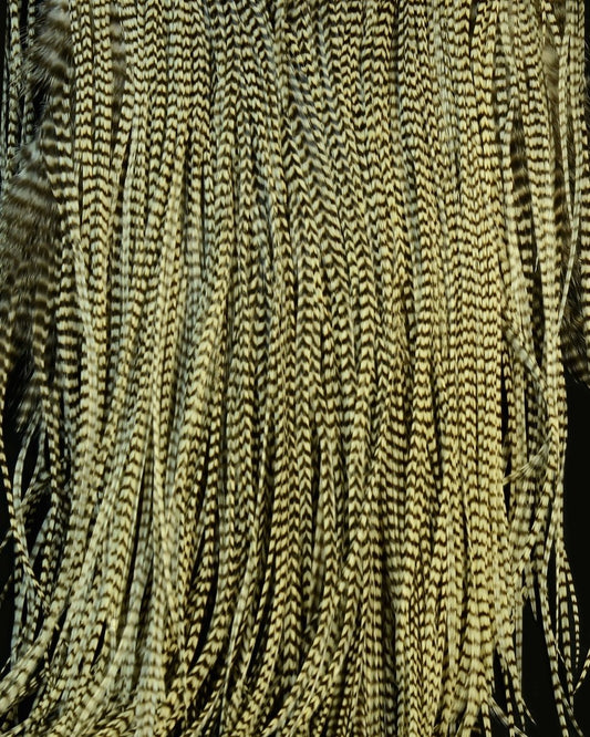 Root River Saddle - Spawn Fly Fish - Root River Hackle