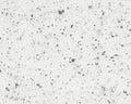 River Road Speckled Wing - Spawn Fly Fish - River Road Creations