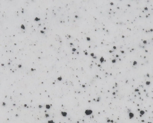 River Road Speckled Wing - Spawn Fly Fish - River Road Creations