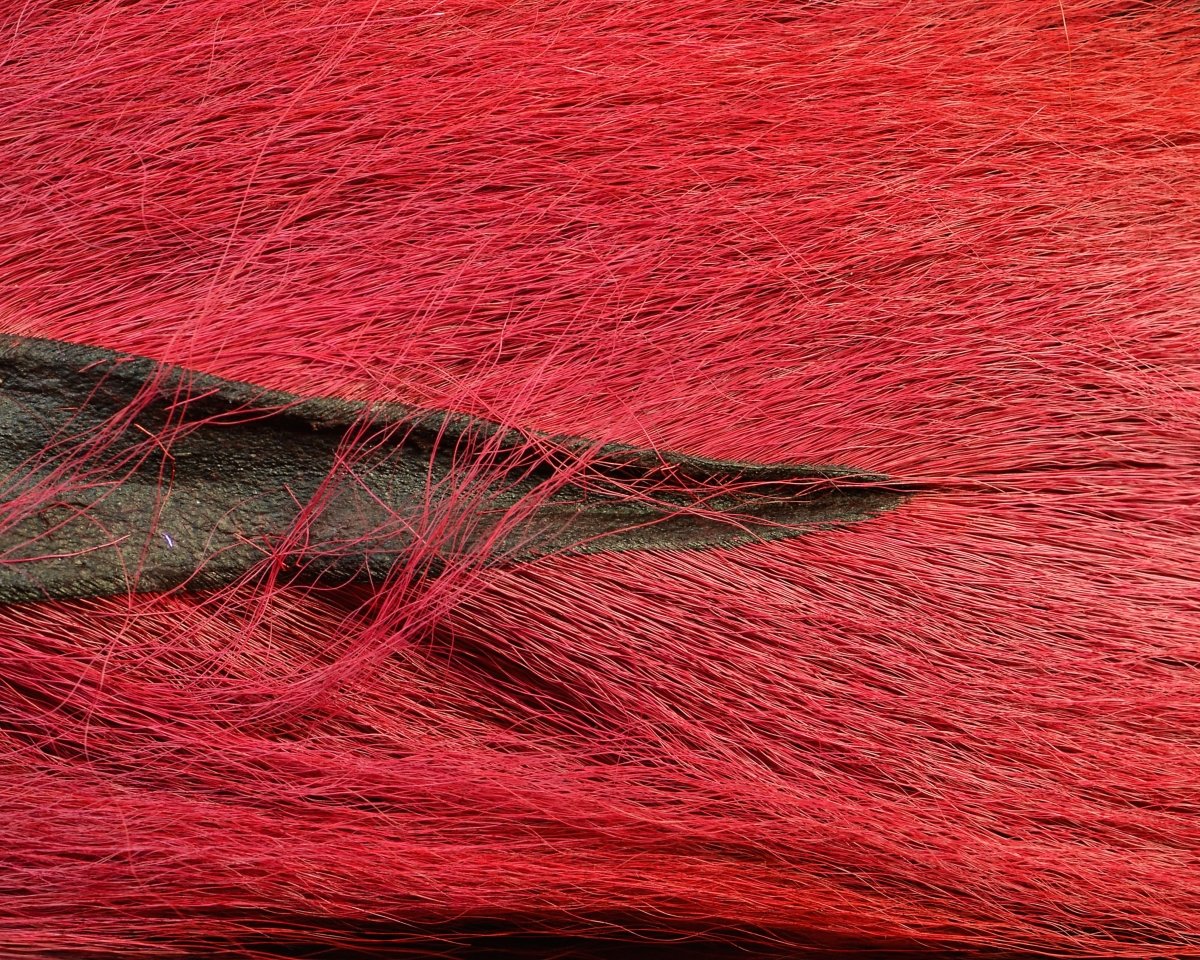 Nature's Spirit Select Large Bucktail - Spawn Fly Fish - Nature's Spirit