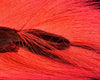 Nature's Spirit Select Large Bucktail - Spawn Fly Fish - Nature's Spirit