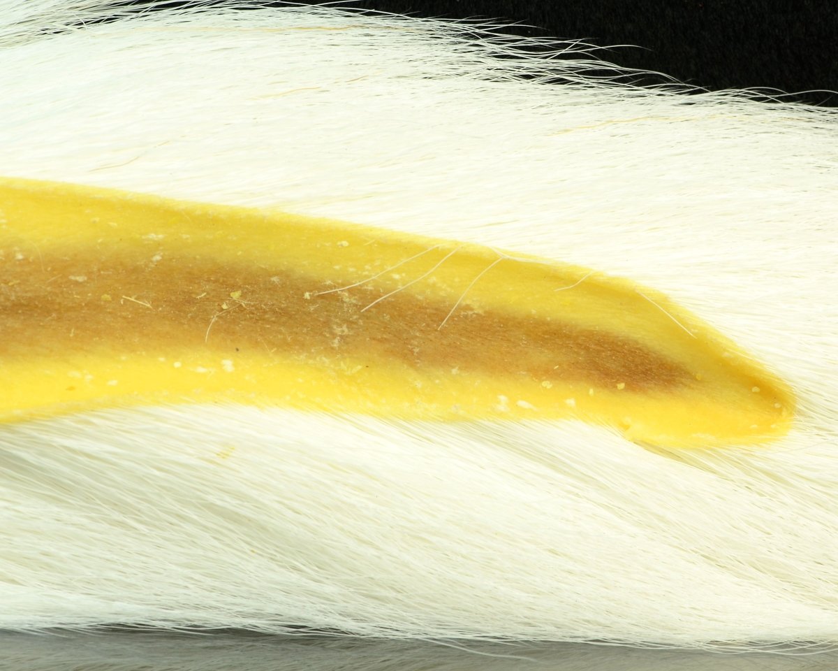 Nature's Spirit Select Large Bucktail - Spawn Fly Fish - Nature's Spirit