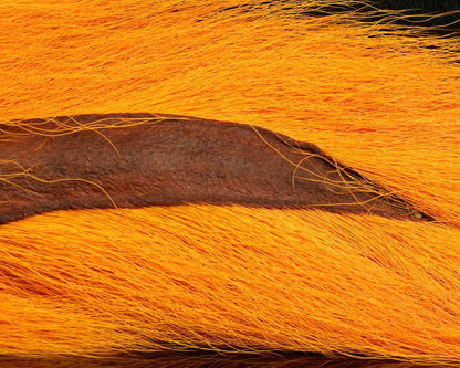 Nature's Spirit Select Large Bucktail - Spawn Fly Fish - Nature's Spirit