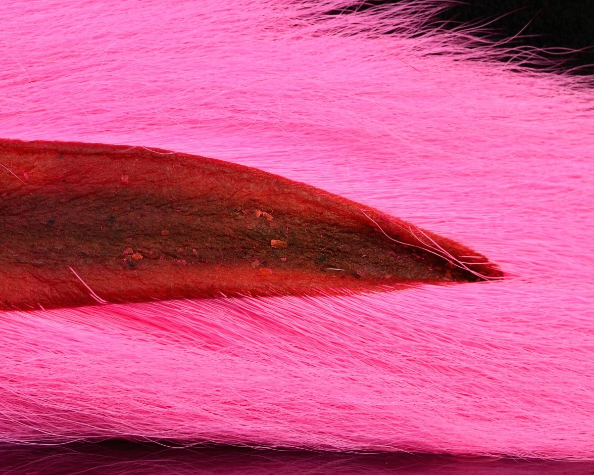 Nature's Spirit Select Large Bucktail - Spawn Fly Fish - Nature's Spirit