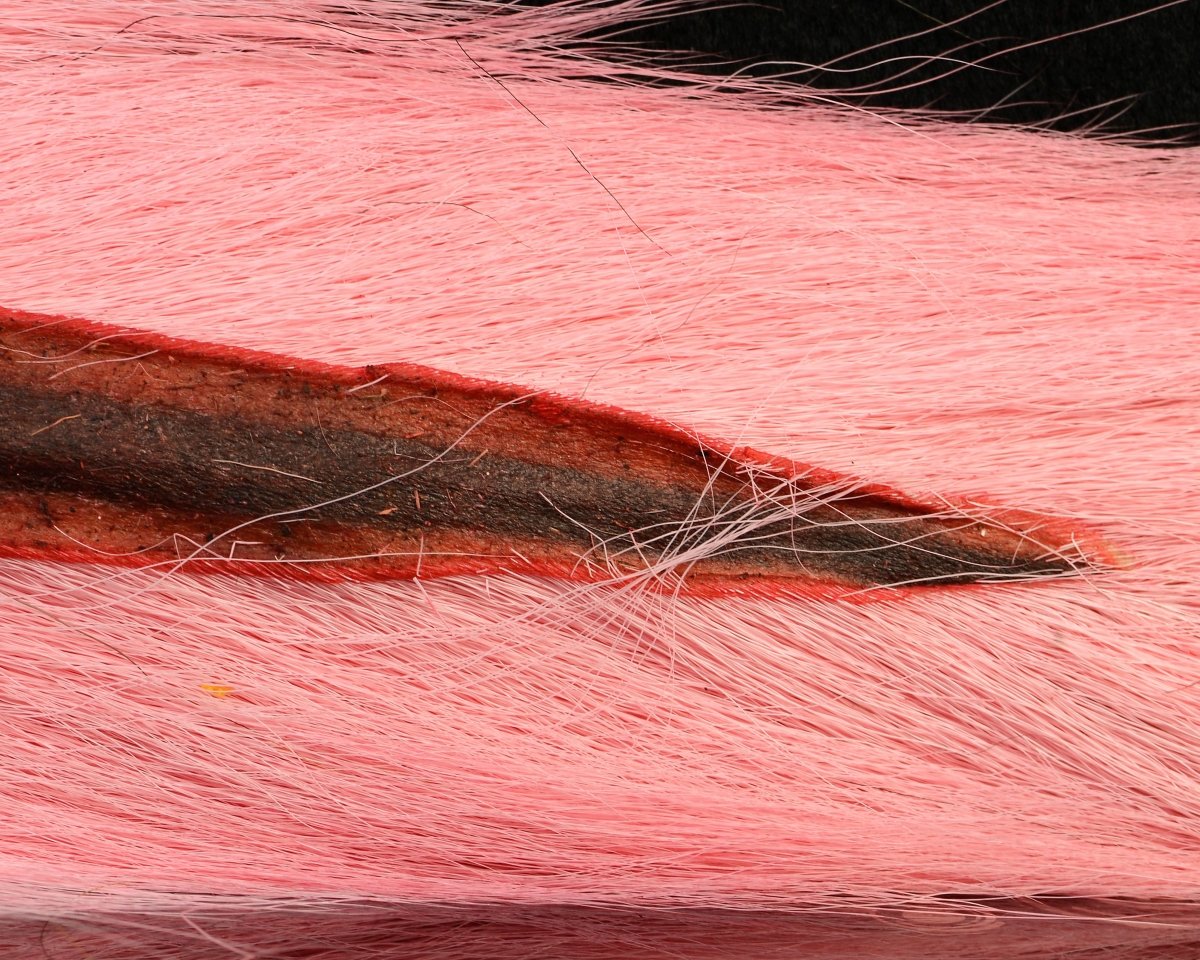 Nature's Spirit Select Large Bucktail - Spawn Fly Fish - Nature's Spirit