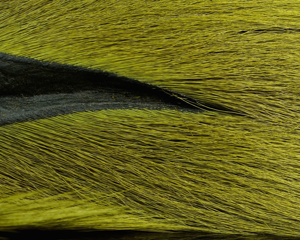 Nature's Spirit Select Large Bucktail - Spawn Fly Fish - Nature's Spirit