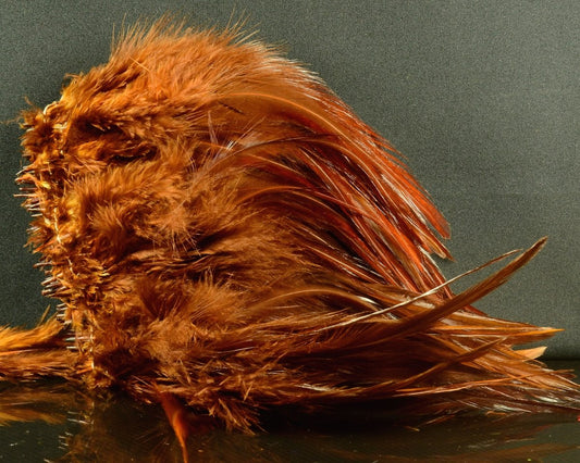 Hareline Strung Chinese Saddle Hackle - Spawn Fly Fish - Hareline Dubbin